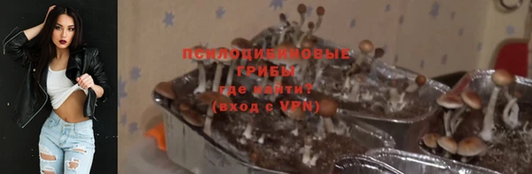 тгк Михайлов