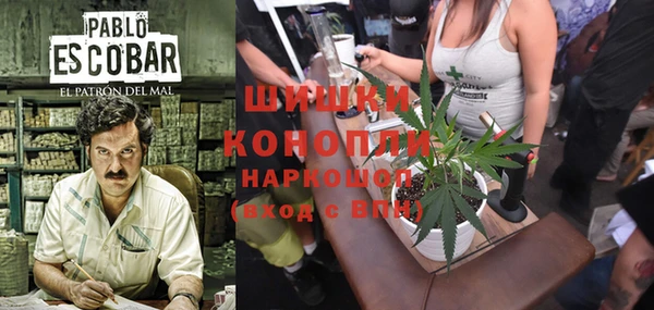 тгк Михайлов