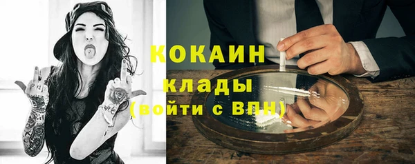 тгк Михайлов